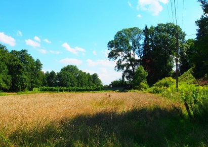 działka na sprzedaż - Zielonki, Pękowice