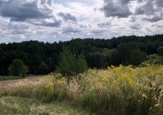 działka na sprzedaż - Michałowice (gw), Michałowice