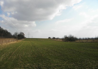 działka na sprzedaż - Zielonki, Bosutów, Boleń