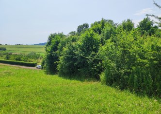 działka na sprzedaż - Zielonki, Przybysławice