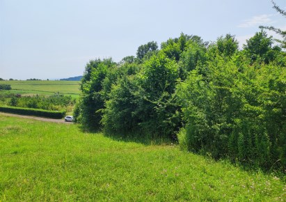 działka na sprzedaż - Zielonki, Przybysławice