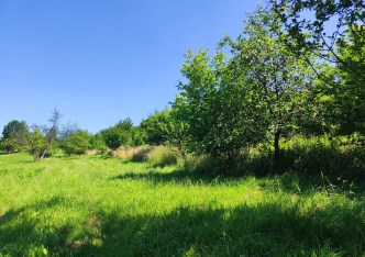 działka na sprzedaż - Liszki, Morawica