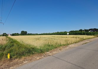 działka na sprzedaż - Zielonki, Bibice