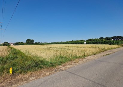 działka na sprzedaż - Zielonki, Bibice