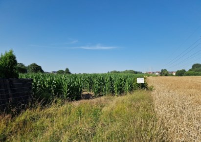 działka na sprzedaż - Zielonki, Bibice