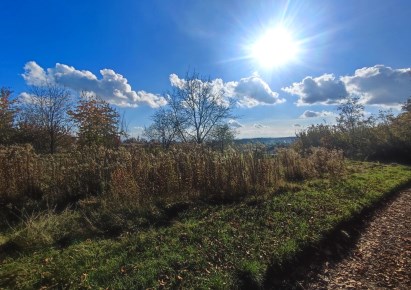 działka na sprzedaż - Zielonki, Trojanowice