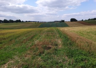 działka na sprzedaż - Kocmyrzów-Luborzyca, Łososkowice