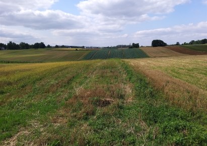 działka na sprzedaż - Kocmyrzów-Luborzyca, Łososkowice