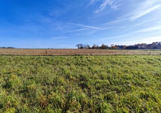 działka na sprzedaż - Skała (gw), Cianowice Małe