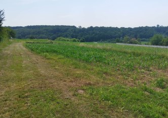 działka na sprzedaż - Michałowice (gw), Zerwana