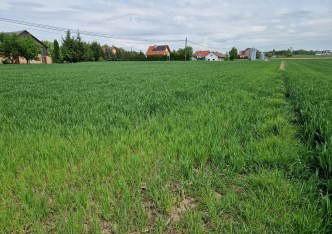 działka na sprzedaż - Iwanowice, Sieciechowice