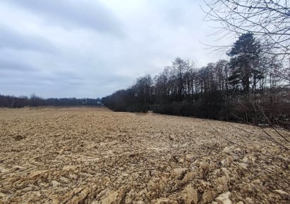 działka na sprzedaż - Zielonki, Bibice