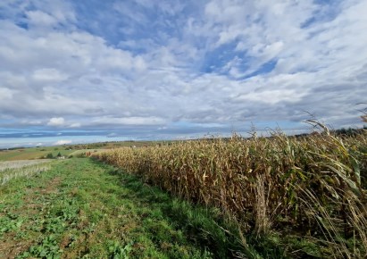 działka na sprzedaż - Skała (gw), Cianowice Małe