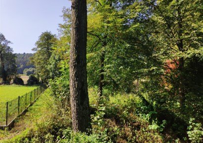 działka na sprzedaż - Zielonki, Januszowice