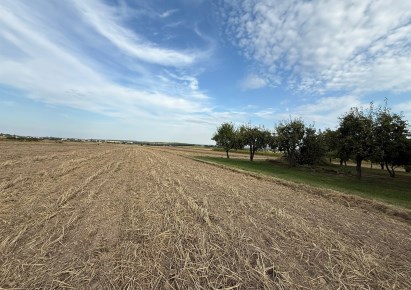działka na sprzedaż - Skała (gw), Cianowice Duże
