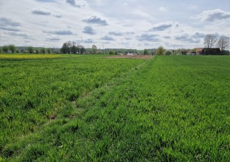 działka na sprzedaż - Kocmyrzów-Luborzyca, Goszcza