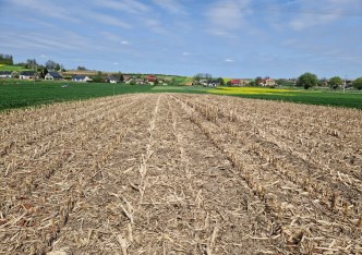 działka na sprzedaż - Kocmyrzów-Luborzyca, Goszcza