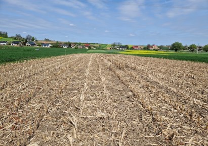 działka na sprzedaż - Kocmyrzów-Luborzyca, Goszcza