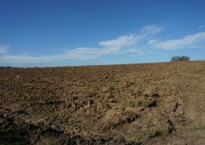 działka na sprzedaż - Zabierzów, Bolechowice