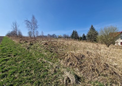 działka na sprzedaż - Zielonki, Owczary