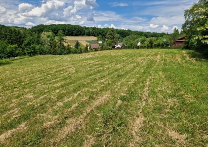 działka na sprzedaż - Michałowice (gw), Więcławice Dworskie