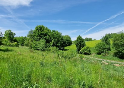 działka na sprzedaż - Krzeszowice (gw), Nowa Góra