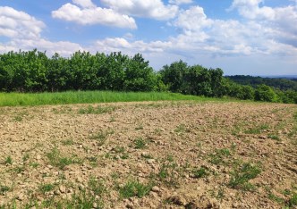 działka na sprzedaż - Zielonki, Korzkiew