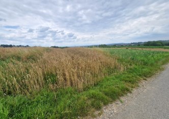 działka na sprzedaż - Zielonki