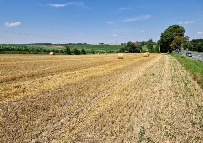 działka na sprzedaż - Michałowice (gw), Wilczkowice