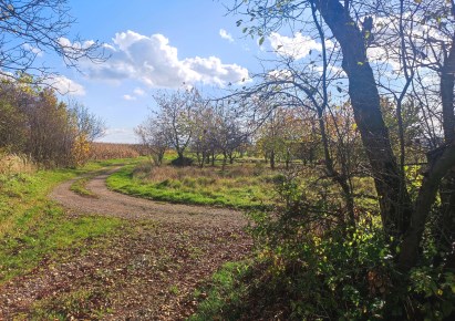 działka na sprzedaż - Zielonki, Trojanowice