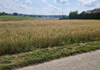 działka na sprzedaż - Słomniki (gw), Zaborze