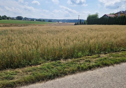 działka na sprzedaż - Słomniki (gw), Zaborze