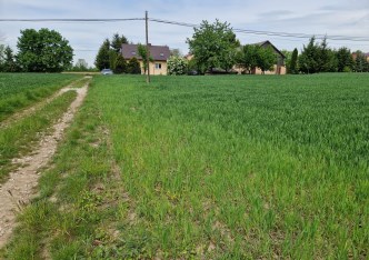 działka na sprzedaż - Iwanowice, Sieciechowice