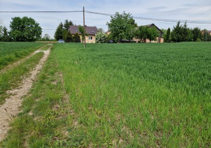 działka na sprzedaż - Iwanowice, Sieciechowice