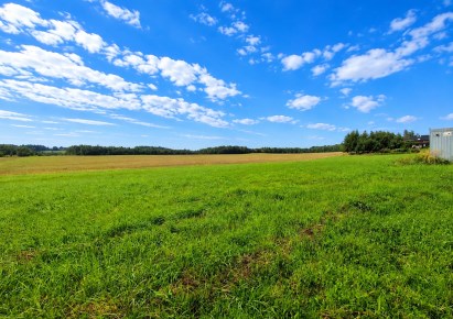 działka na sprzedaż - Skała (gw), Smardzowice