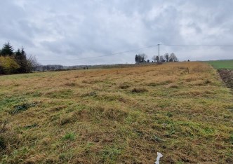 działka na sprzedaż - Wielka Wieś, Biały Kościół