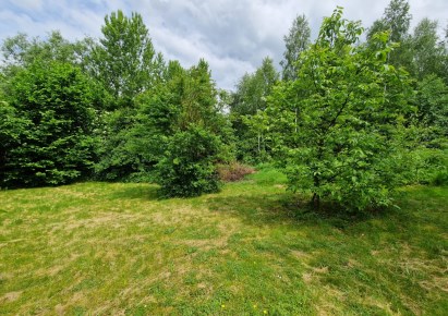 działka na sprzedaż - Zielonki, Owczary