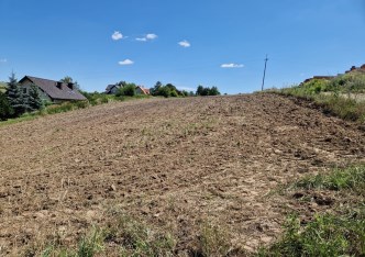 działka na sprzedaż - Michałowice (gw), Masłomiąca
