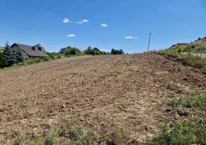 działka na sprzedaż - Michałowice (gw), Masłomiąca