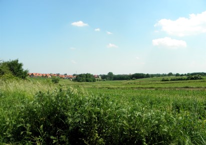 działka na sprzedaż - Zielonki, Bibice