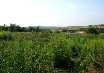 działka na sprzedaż - Zielonki, Bosutów, Boleń
