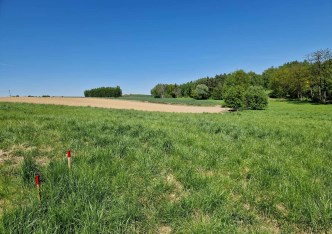 działka na sprzedaż - Michałowice (gw), Masłomiąca