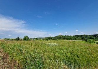 działka na sprzedaż - Skała (gw), Cianowice Małe