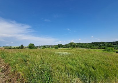 działka na sprzedaż - Skała (gw), Cianowice Małe