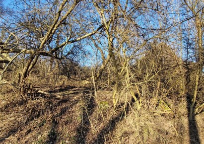 działka na sprzedaż - Zabierzów, Balice