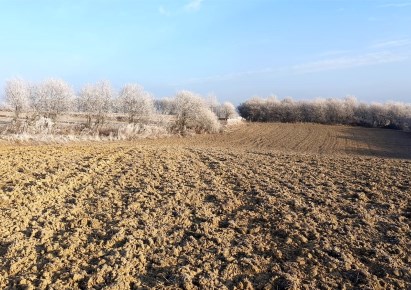 działka na sprzedaż - Skała (gw), Skała