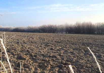 działka na sprzedaż - Skała (gw), Skała
