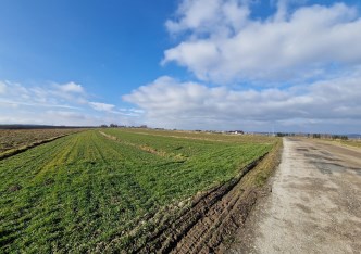 działka na sprzedaż - Skała (gw), Skała