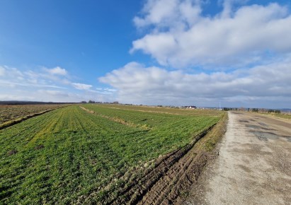 działka na sprzedaż - Skała (gw), Skała