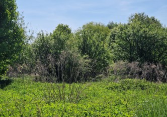 działka na sprzedaż - Zielonki, Brzozówka Korzkiewska